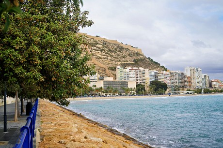 Alicante