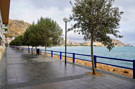 Alicante