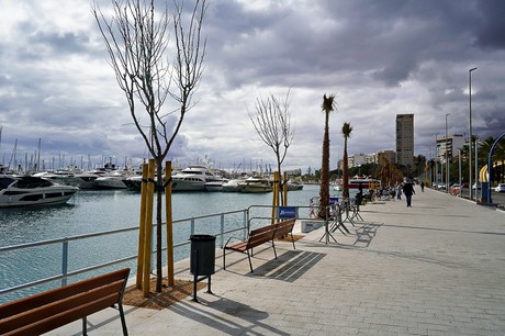 Alicante