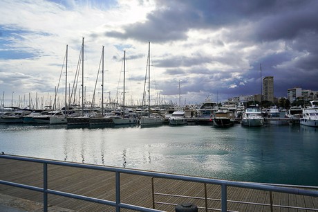 Alicante