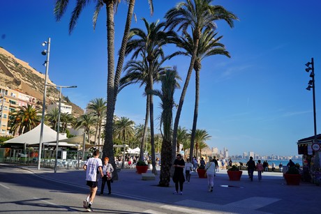 Alicante