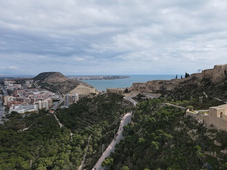 Alicante