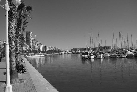 Alicante