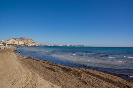 Alicante