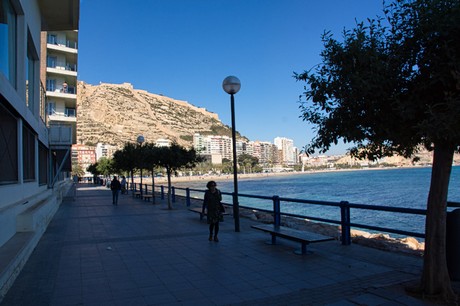 Alicante