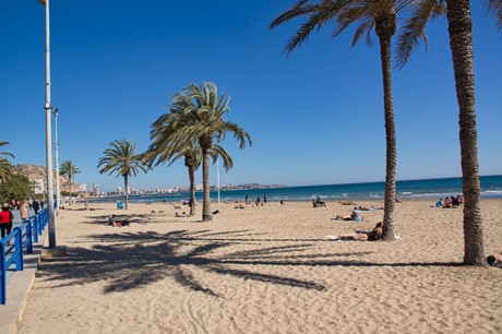 Alicante