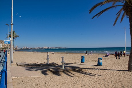 Alicante