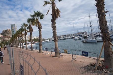 Alicante