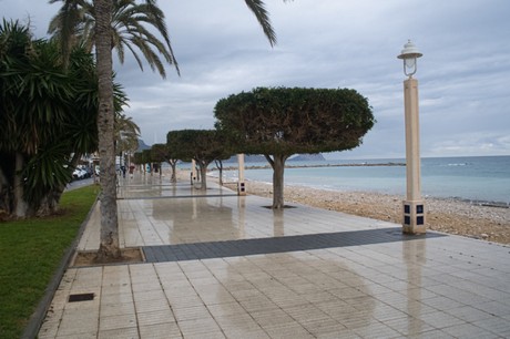 Altea