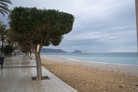 Altea