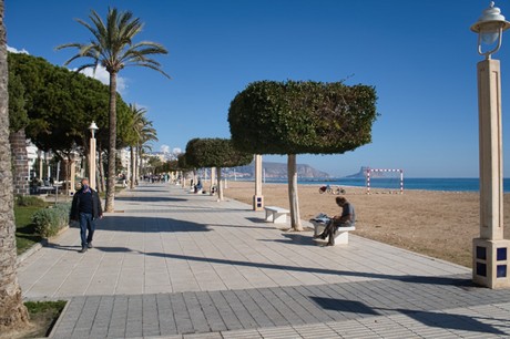 Altea