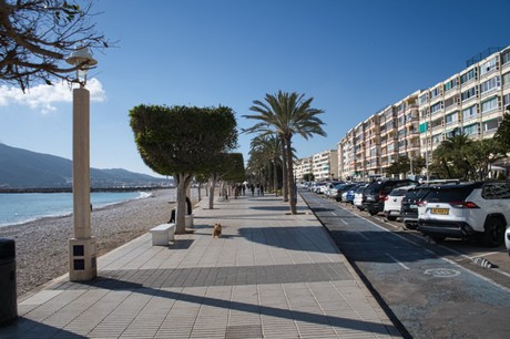 Altea