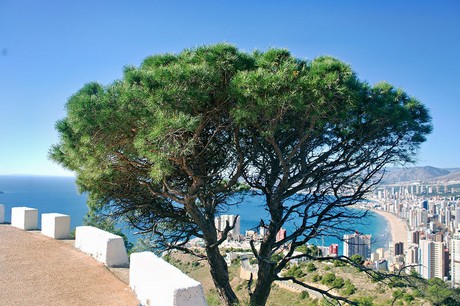 Benidorm