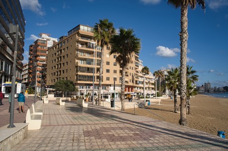 Calp