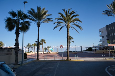 Calp