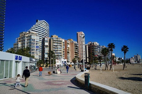 Calp