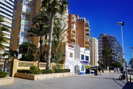 Calp