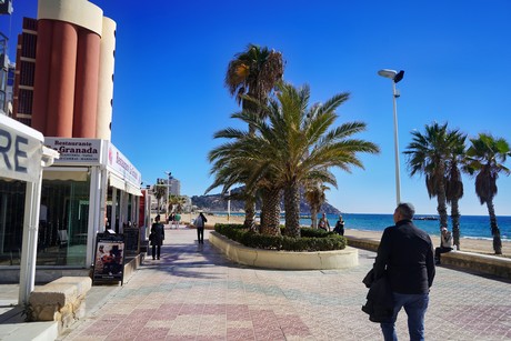 Calp