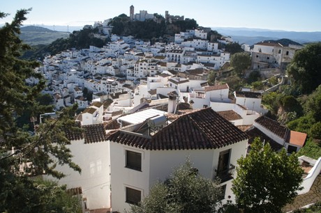 Casares