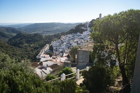 Casares