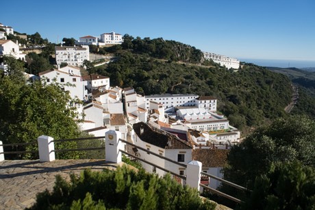 Casares