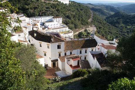 Casares