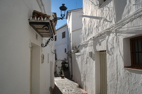 Casares