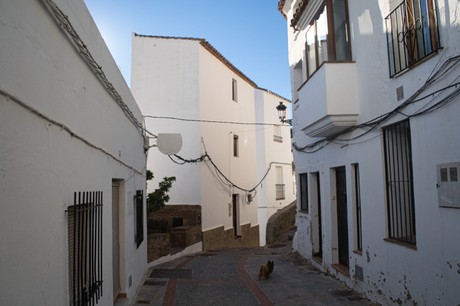 Casares