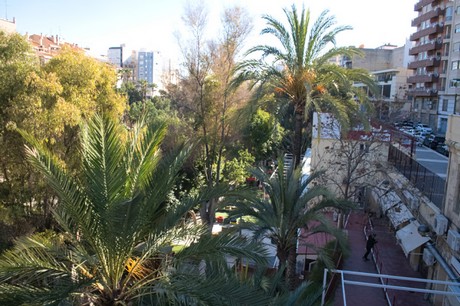 Elche