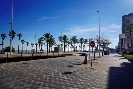 Gandia