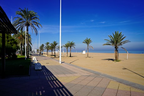 Gandia