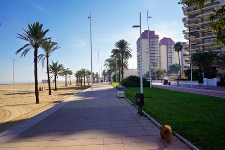 Gandia