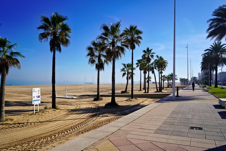 Gandia