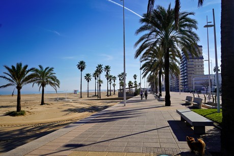 Gandia
