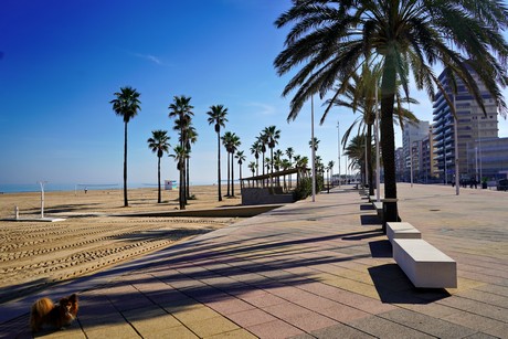 Gandia