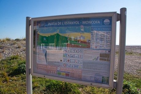 Moncofa