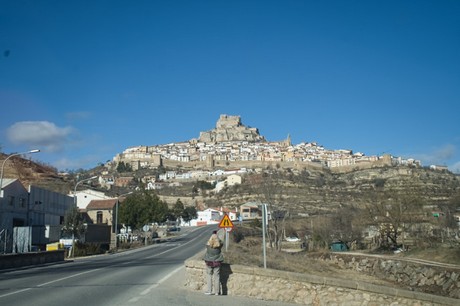 Morella