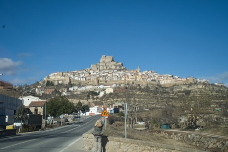 Morella
