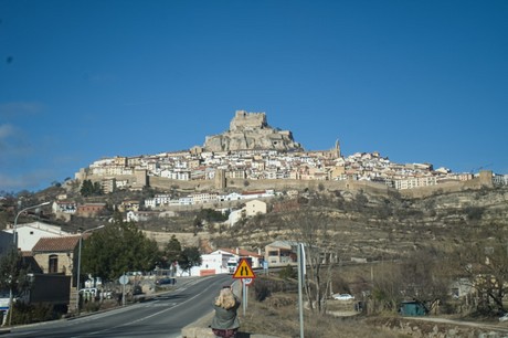 Morella