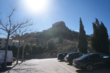 Morella