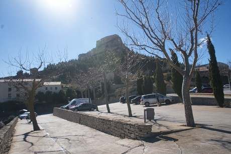 Morella