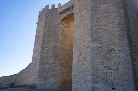 Morella