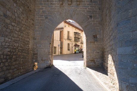 Morella