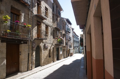 Morella