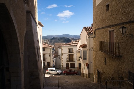 Morella