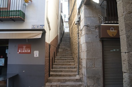 Morella