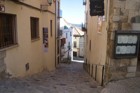 Morella