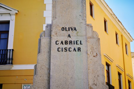 Oliva