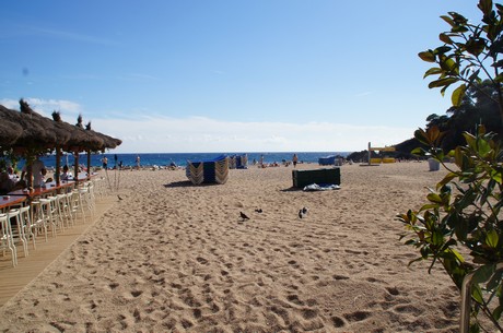 lloret-de-mar